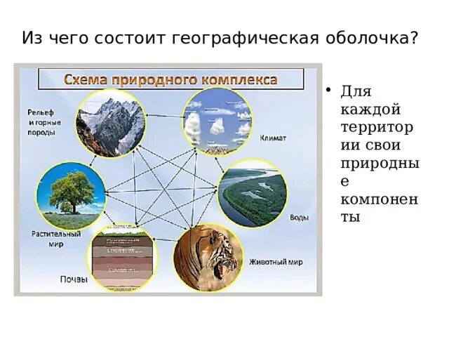 Географическая оболочка земли 6 класс география. Схема природного комплекса. Схема природного комплекса география. Природные компоненты природного комплекса. Природные комплексы географической оболочки.