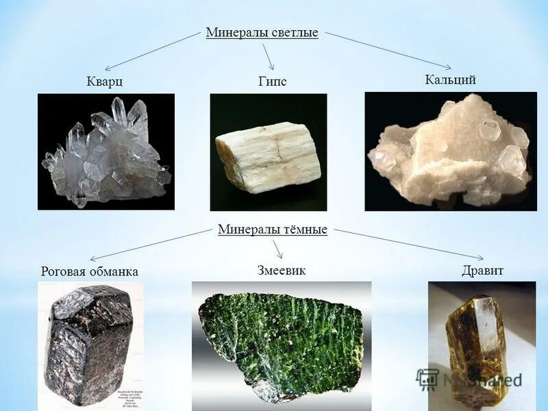 Приведи примеры минералы. Представители минералов. Кальций минерал. Минералы из кальция. Светлые минералы.