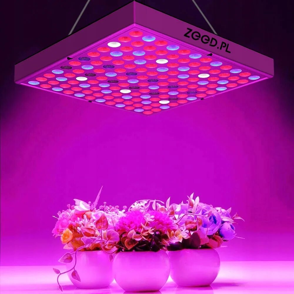 Фитолампа светодиодная 50вт. Лампа led grow Light. Фитолампа 45w. Фитолампа led grow Light. Светодиодные светильники полного спектра