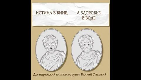 Истина вина