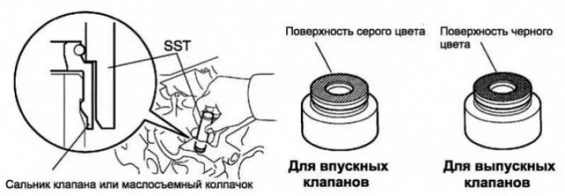 Замена колпачков тойота королла. Сальники клапанов Тойота Камри 2.4 впускные и выпускные. Тойота Королла маслосъемные колпачки впуск выпуск. Маслосъемные колпачки установка схема. Впускные и выпускные колпачки двигатель Тойота 4 а.