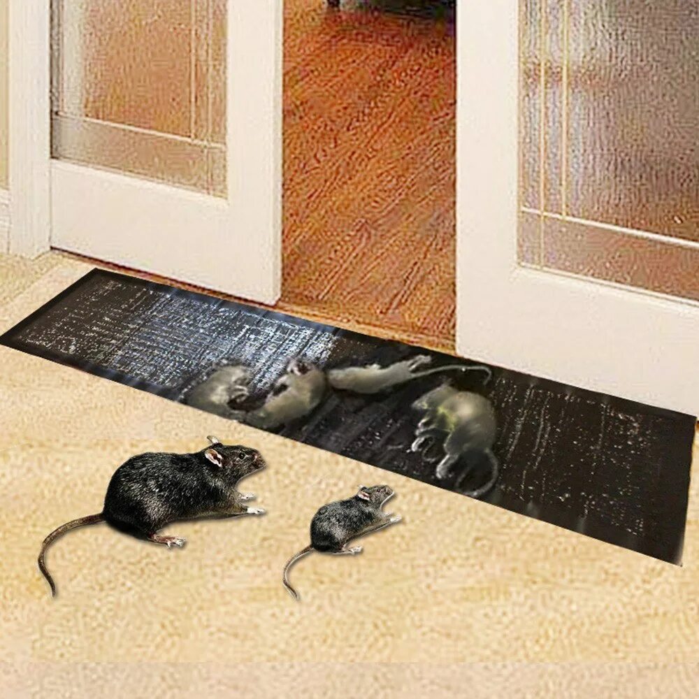 Как убрать мышиный клей. Ловушка клеевая rat&amp;mouse. ловушка на крыс рэт. клеевая ловушка для мышей rat mouse. клей от грызунов на картоне &quot;mouse &amp; rat&quot; (мышеловка на клеевой основе)/ кнр.