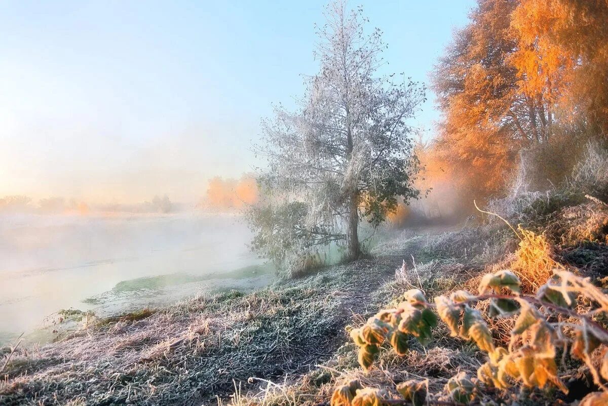 Паустовский туман. Морозное утро. Осенний рассвет. Ноябрь природа. Морозное осеннее утро.