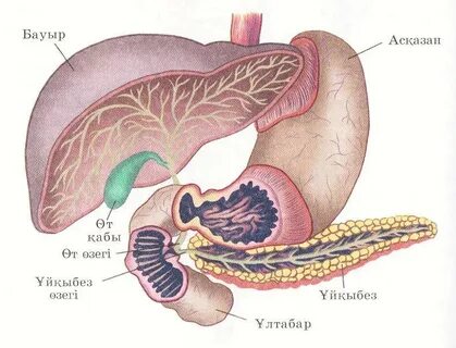 Ретро баудағы порно