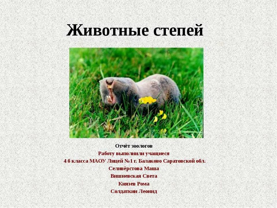 Степные животные сообщение 4 класс. Животные степи сообщение. физминутка животные степей. план презентации о животном. приспособление животных в степи.