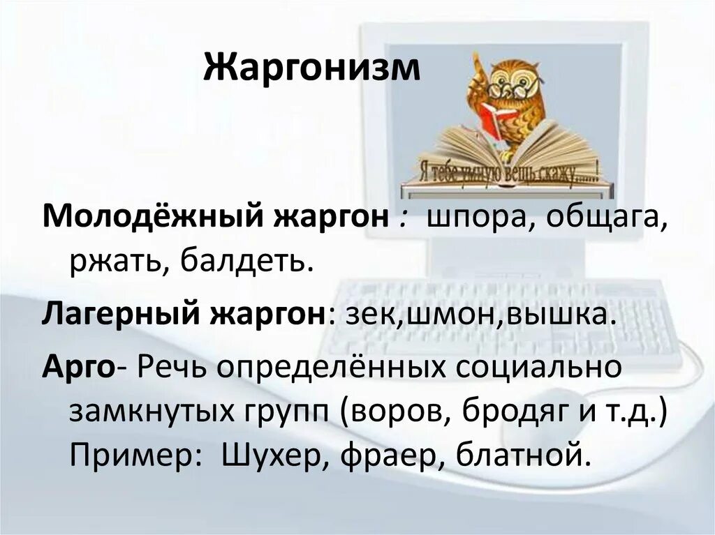 Жаргонизмы примеры. Жаргонизмы это. Современное языкознание. 20 слов жаргонизмов. Недостаток сфера употребления слова.