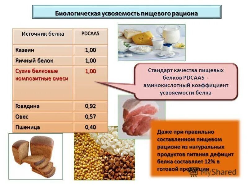 Содержание животного белка в продуктах. Содержание животного белка в продуктах