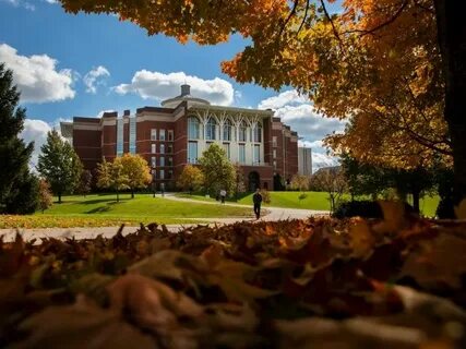 University article