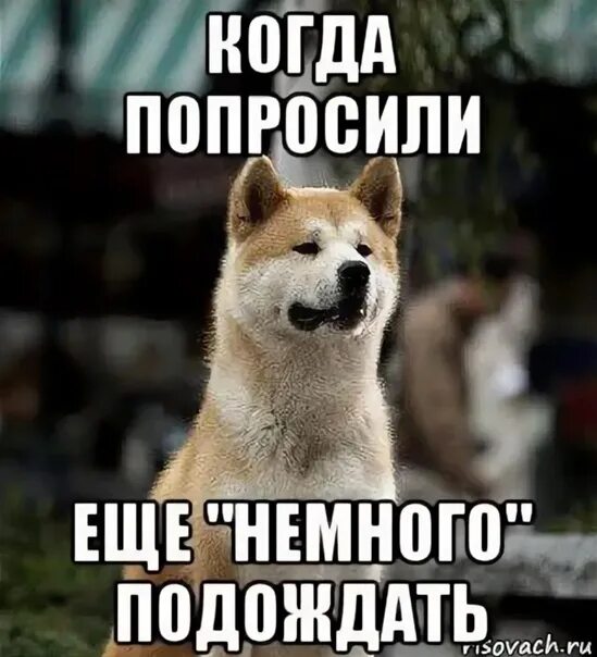 Осталось немного подождать. Подождем еще немного. Мем еще немного. Еще немного еще чуть.