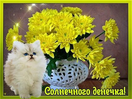 Доброго чудесного денечка