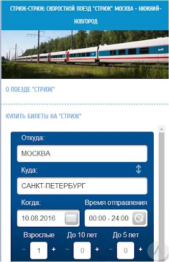 Билеты на поезд ржд саранск. Стриж РЖД. Билет на поезд Стриж. Билет на Стриж. ЖД поезд Стриж.