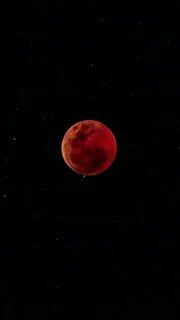 Red moons rise