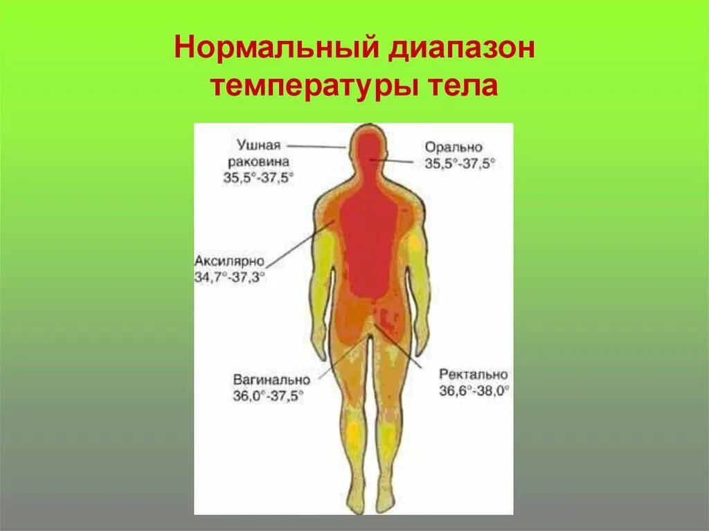 Диапазон температуры человека