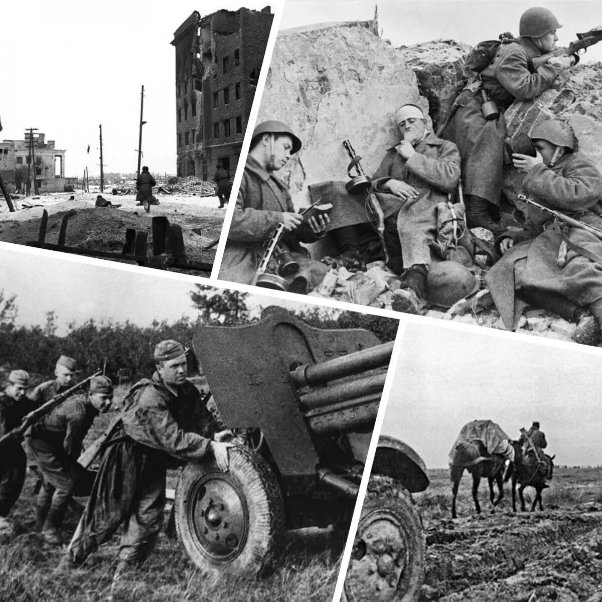 Ржевская операция 1942 года. Ржевско-вяземская операция 1942 года командующие. Ржевско вяземская 1943. Январь 1942 март 1943. Ржевско -вяземская операция 1942-1943.