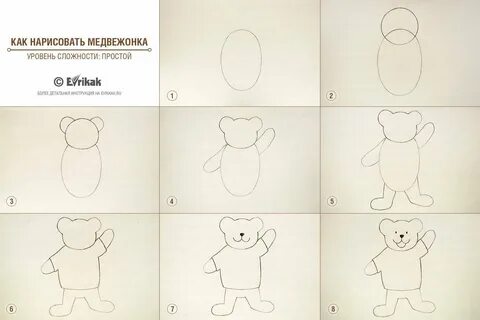 Как нарисовать медведя поэтапно для детей