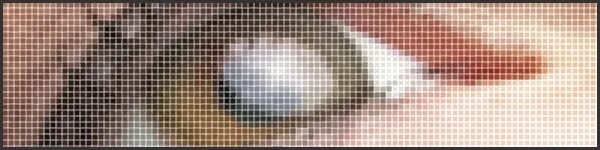 Пиксельная сетка. Пиксель арт с сеткой. Фильтр > пикселизация > мозаика. Наложение сетки на пиксельное изображение. Пикселизация эффект ступенек это