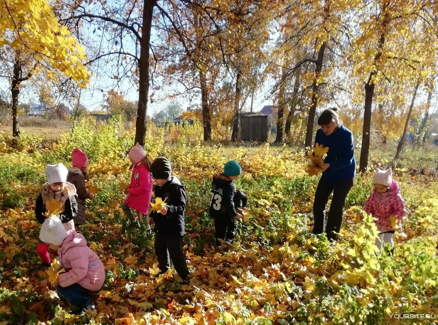 Экскурсия в осеннюю природу. Экскурсия в осенний парк. осенний парк прогулка. экскурсия осенью с детьми. экскурсия для детей осень парк.