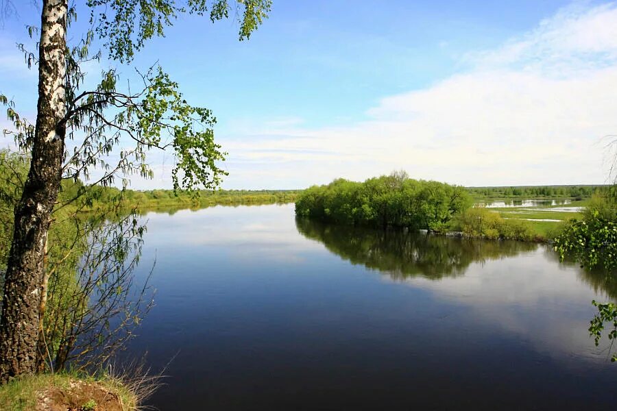 Дон иловля. Дон весной разливается. Река битюг липецкая область. Разлив реки волга. Разлив реки дон.