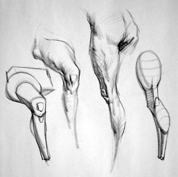 Рисование колена. Анатомия колен для рисования. Анатомические скетчи. Колено набросок. Draw leg