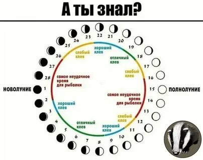Что можно делать в огороде в полнолуние