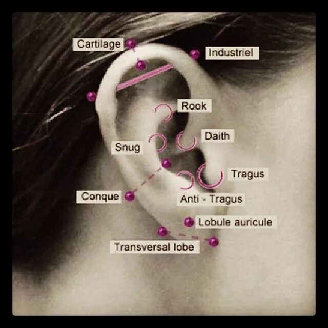 Больно колоть уши. Пирсинг уха схема. Пирсинг ушей названия проколов.