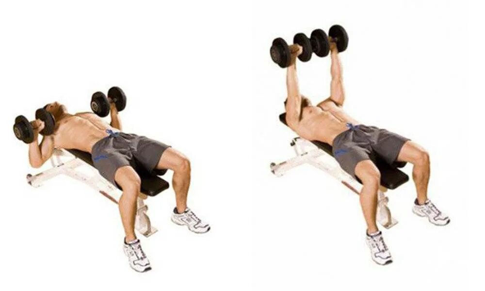 Французский жим лежа техника. Жим лежа с гантелями техника. Жим гантелей лежа на скамье техника. Жим гантелей на горизонтальной скамье. Жим гантелей лежа на горизонтальной скамье.