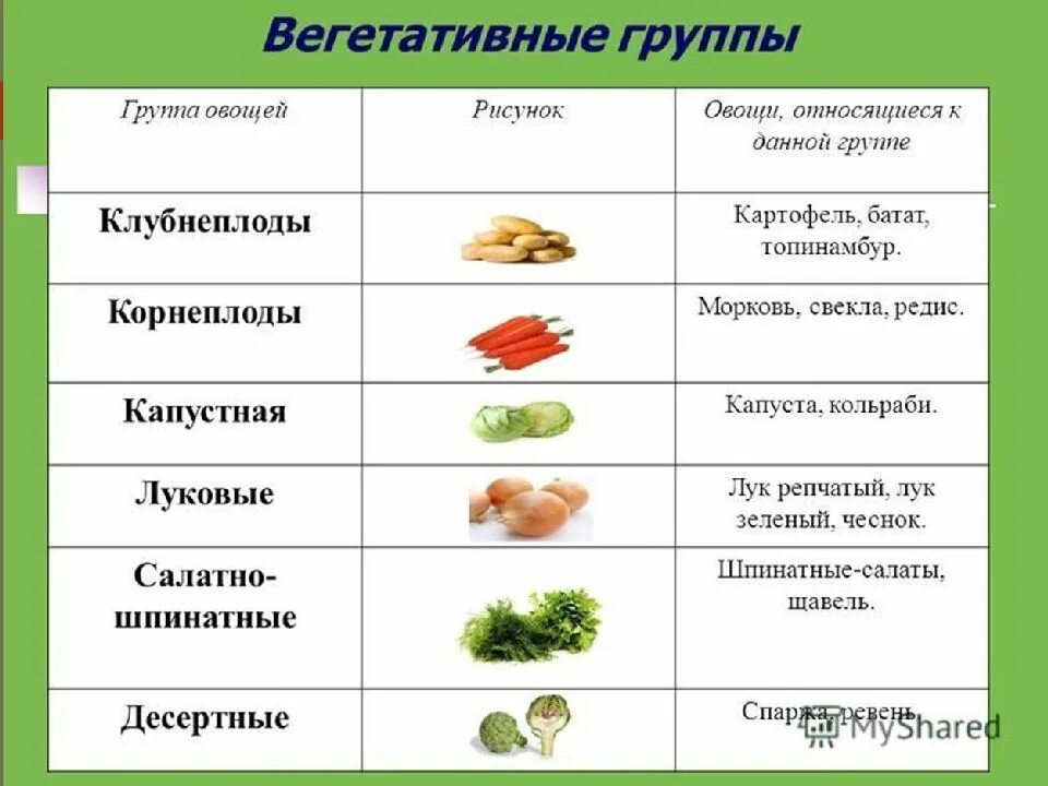 Какие овощи относятся к клубнеплодам. Овощи корнеплоды и клубнеплоды. корнеплоды и клубнеплоды список овощей. клубнеплоды корнеплоды капустные и луковые. классификация овощей клубнеплоды.