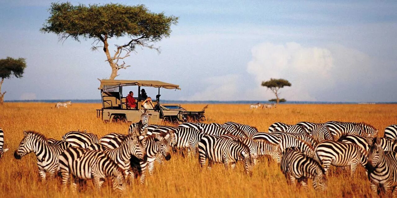 Africa safari. Африка Кения сафари. ЮАР сафари.