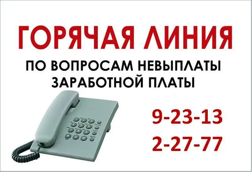 Горячая линия. Горячая линия по вопросам оплаты труда. Трудовая инспекция горячая линия. Инспекция по труду горячая линия. Телефон налоговой горячая линия московская