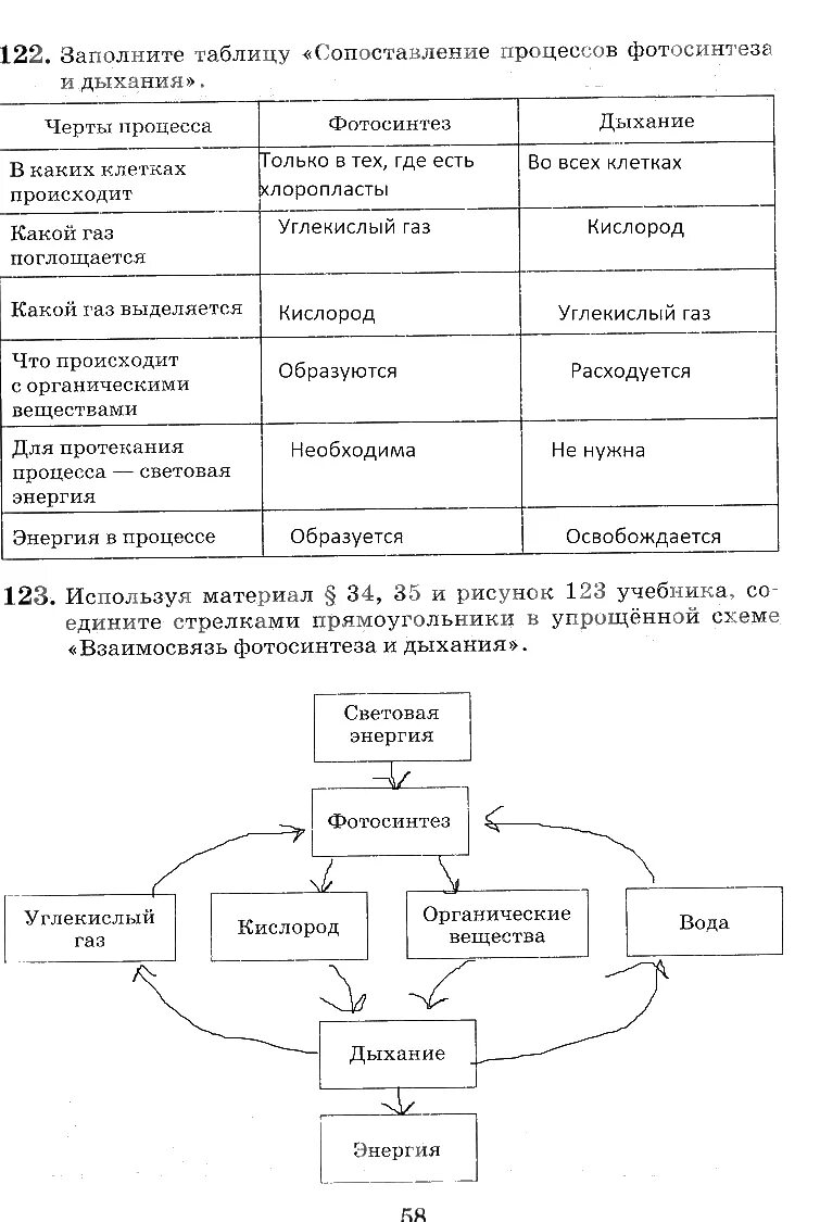 Сопоставление процессов фотосинтеза и дыхания таблица. Заполните таблицу сопоставление процессов фотосинтеза и дыхан. Таблица сравнение процессов фотосинтеза и дыхания. Сопоставление процессов фотосинтеза и дыхания. Сравнение процессов фотосинтеза и дыхания где происходит