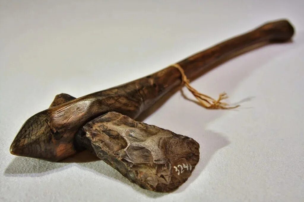 Палки и камни. Палки и камни. Мотыга каменная. Каменные топоры каменного века. Каменный топор палеолит.