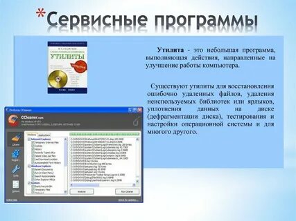 Программное обеспечение сервисные системы