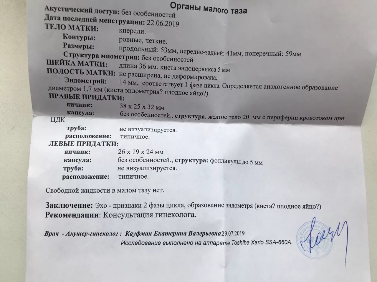 Жёлтое тело яичник 19мм на УЗИ беременность. Жёлтое тело в яичнике на УЗИ 20 мм. Жёлтое тело в яичнике на УЗИ норма по дням цикла. Размер желтого тела при беременности.