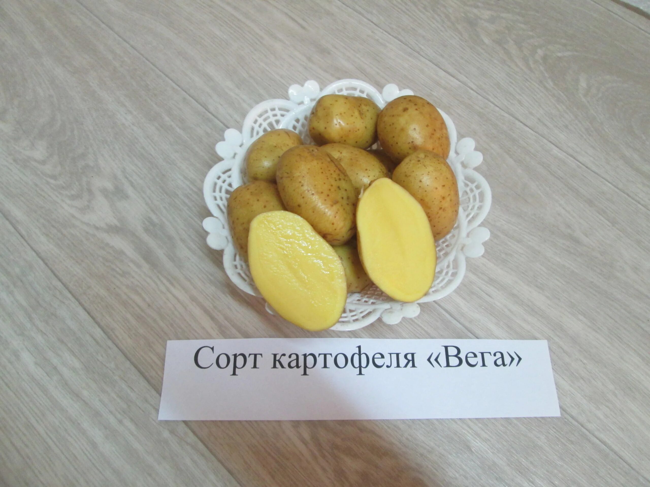 Семенной картофель Вега. Картошка Гала и Вега. Сорт картошки Вега. Картофель семена Вега.