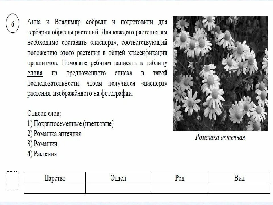 Биология 6 класс задания. Подготовка к ВПР по биологии. Биология 5 класс задания. Решу впр по биологии 5 класс тест