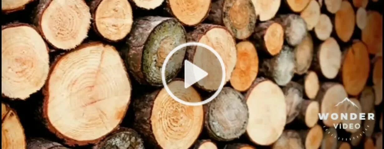 Нанна хольц. Holz. H l z. Subfossile eiche древесина. Обожженная и брашированная сосна.