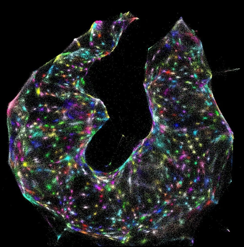 Molecular imaging
