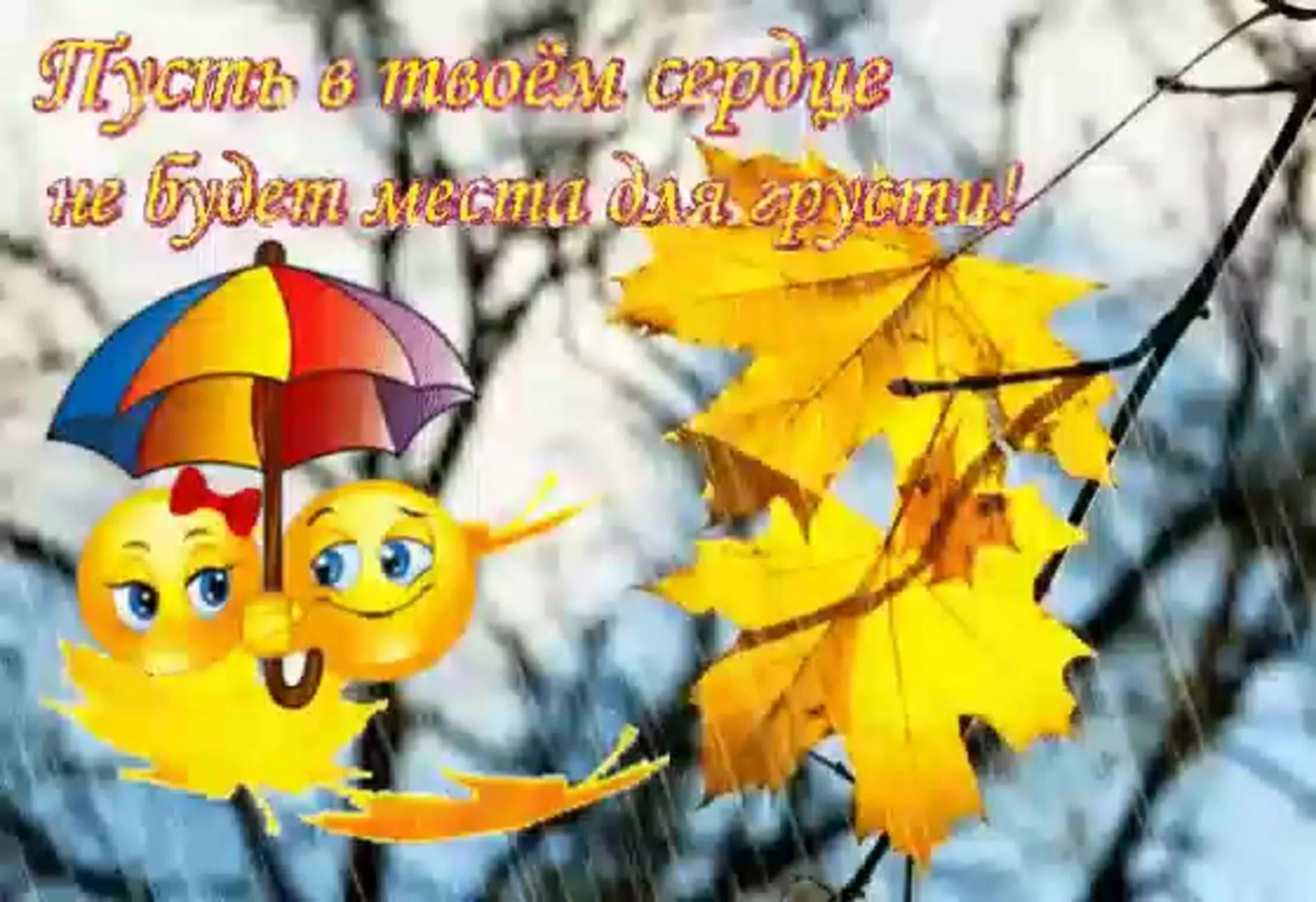 С последним днем осени картинки. Хорошего настроения в дождливую осень. Позитивного настроения и удачного осеннего дня. Доброго дождливого осеннего дня и хорошего настроения. Доброго осеннего утра и хорошего дня в любую погоду.