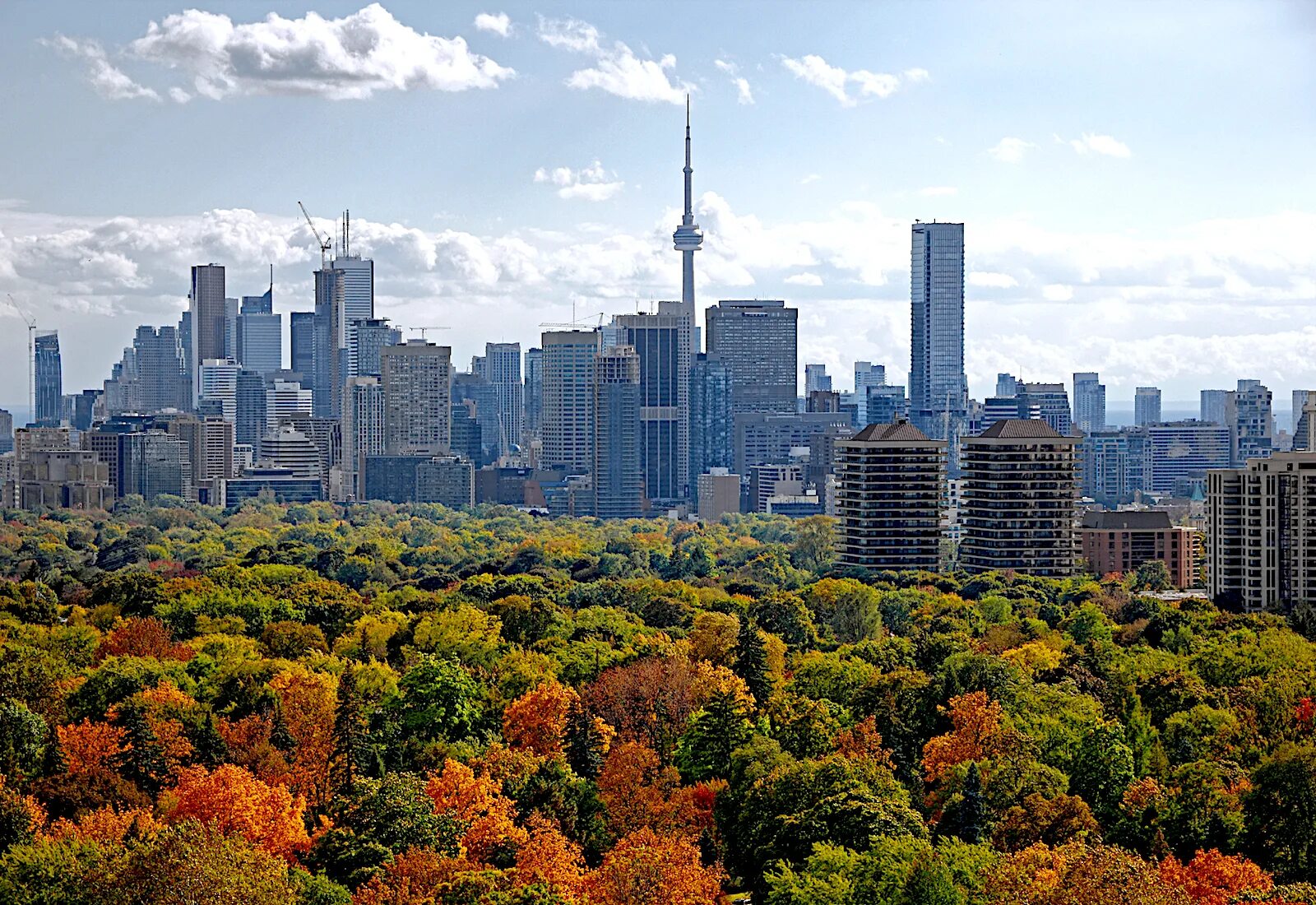Климат городов канады. Торонто Канада. Торонто климат. Осень в Торонто Канада. Торонто лес.