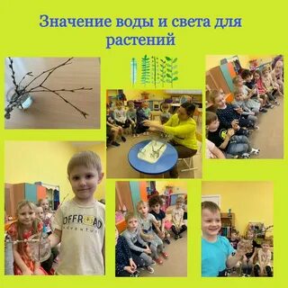 Проект живая детям