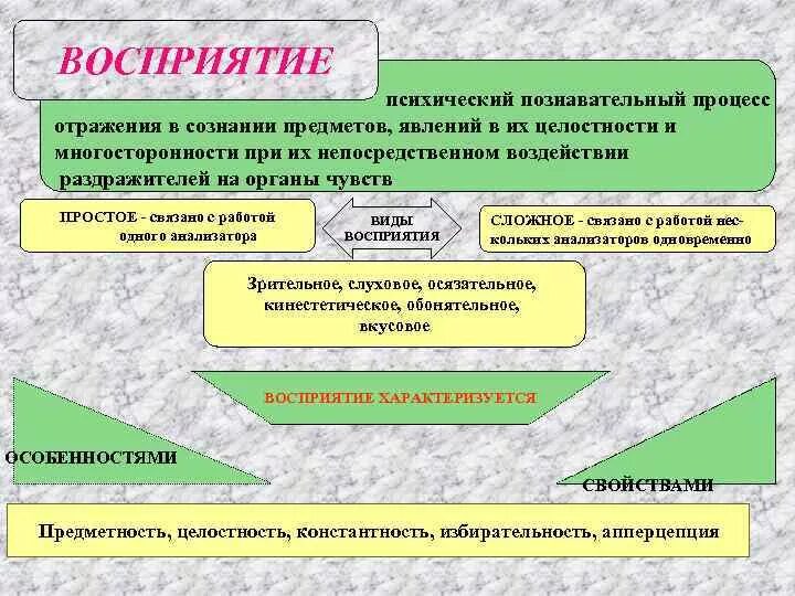 Всегда ли анализаторы правильно отражают окружающую действительность. Познавательные процессы восприятие. Характеристика восприятия как познавательного процесса. Восприятие психический познавательный процесс. Свойство психического познавательного процесса восприятия.