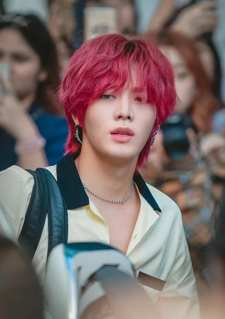 Цветущие кактусы в пустыне. Юта красный. Юта nct. Yuta nct 127. Штат юта каньоны.