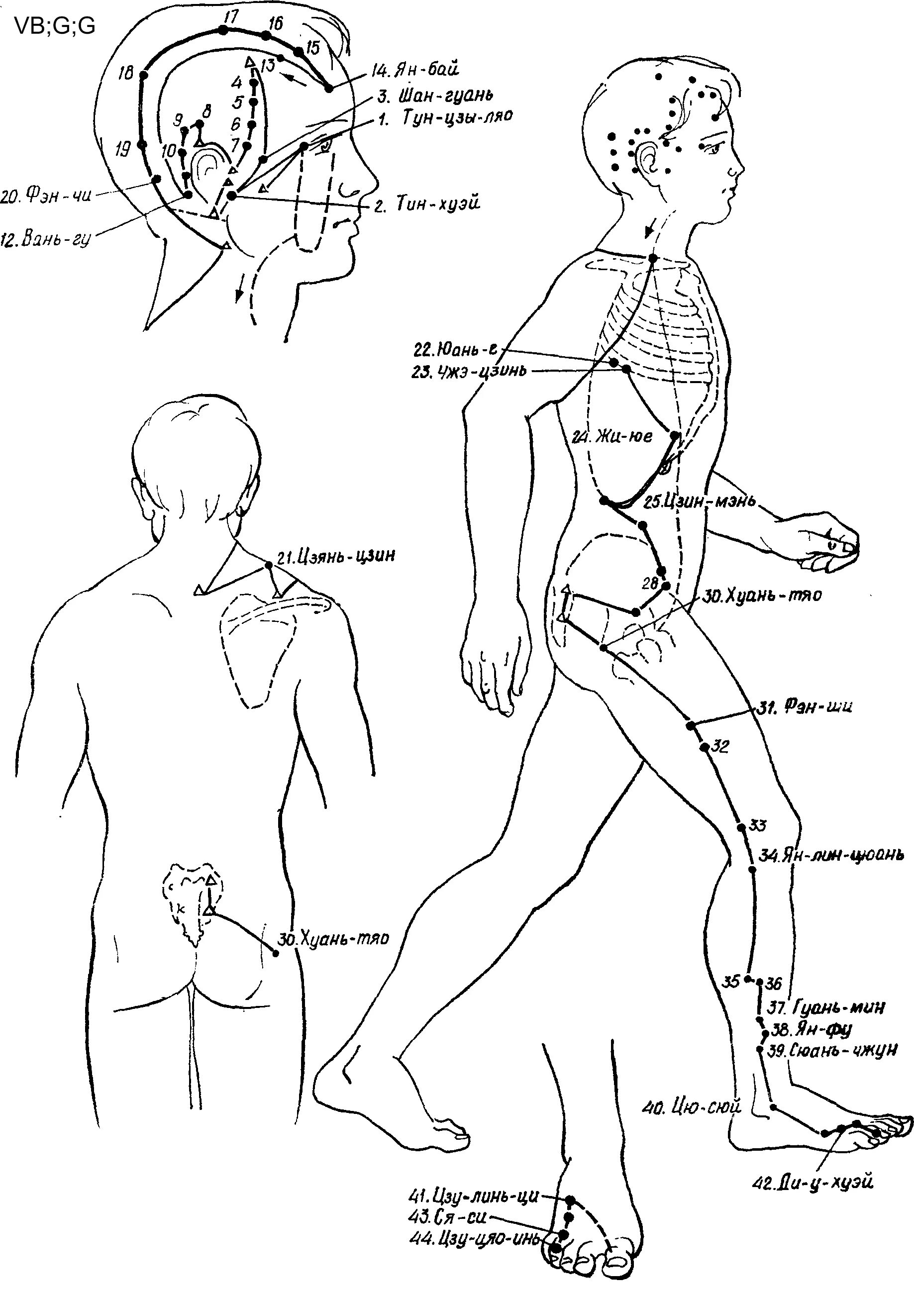 Меридиан желчного пузыря акупунктура. Желчный пузырь точки акупунктуры. Акупунктурные точки меридиана желчного пузыря. Меридиан желчного пузыря в китайской медицине.