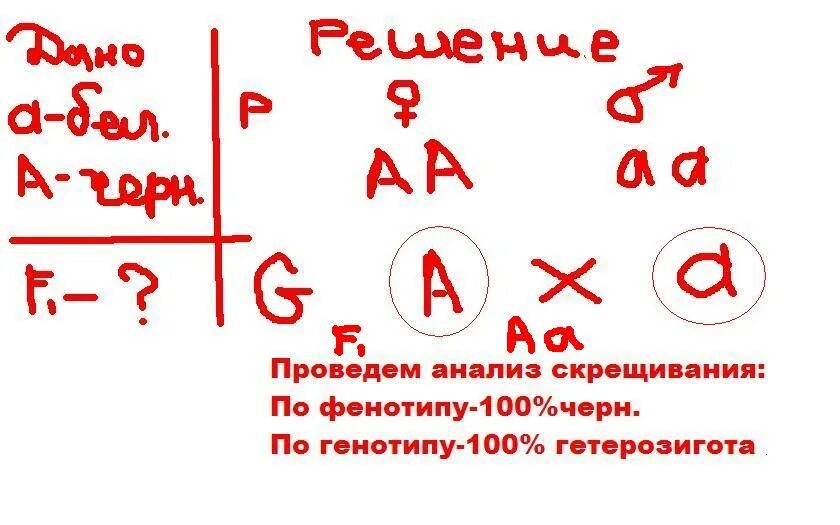 Белый кролик (AA) скрещивается с черным кроликом (АА). Черные кролики скрещиваются с белыми. Белый кролик АА скрещивается с черным. Белый кролик АА скрещивается с черным кроликом АА.