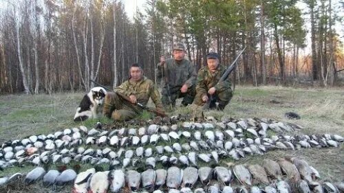 Промысловая охота сибирский охотник. Урянхайский край енисейской губернии. Енисейский охота. Енисейский охота. Охотники коми 19 века.