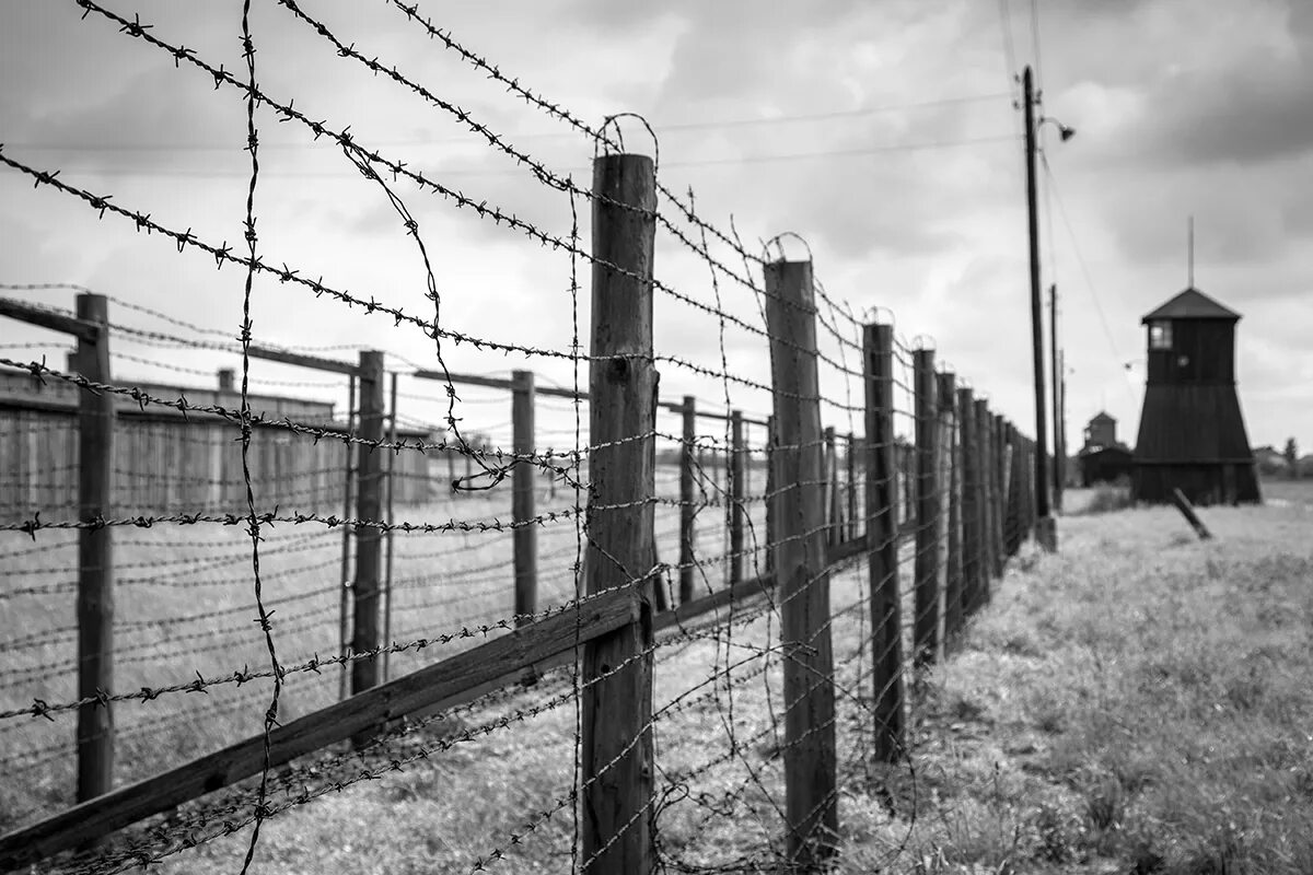 Concentration camp. Холокост лагерь Майданек. Забор концлагеря. Колючая проволока концлагеря.