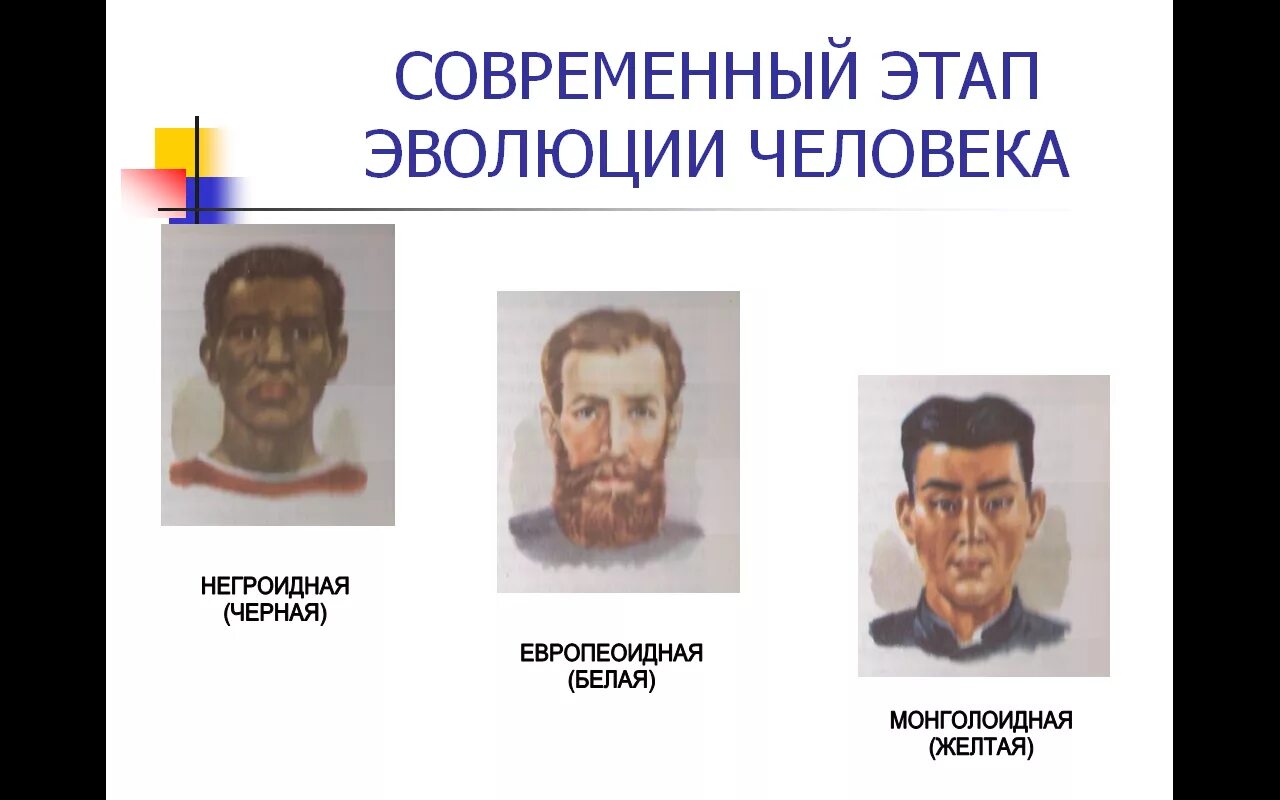 Сообщение на тему эволюция человека. Современный этап развития человечества. современный этап эволюции. современные расы человека. эволюция человека человеческие расы.