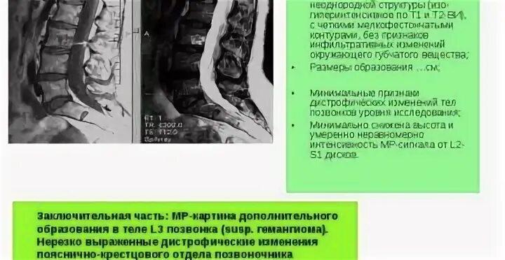 Образование теле 4
