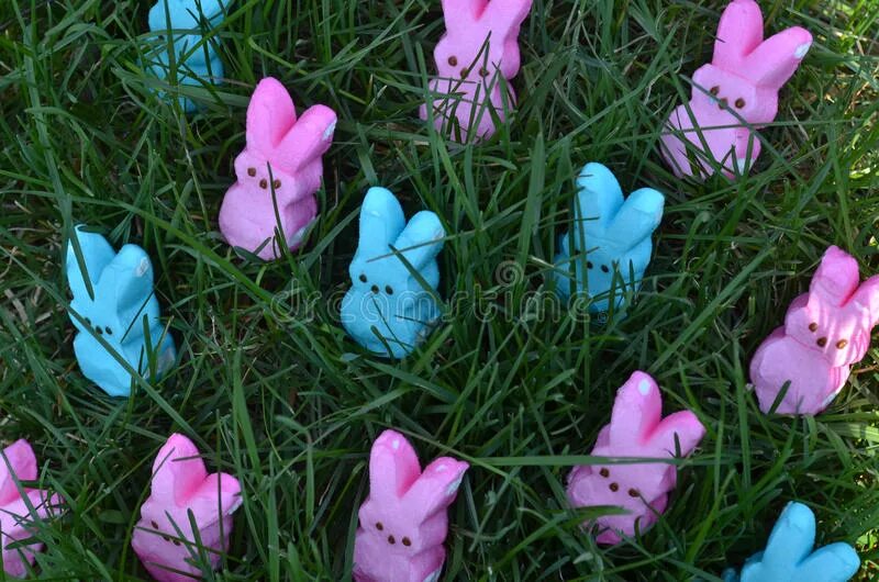 Желтые розовые зайцы игра. Пасха зайцы розовый и голубой. Пасхальные маршмеллоу. Зайчик из зефира. Кролик голубой розовый.
