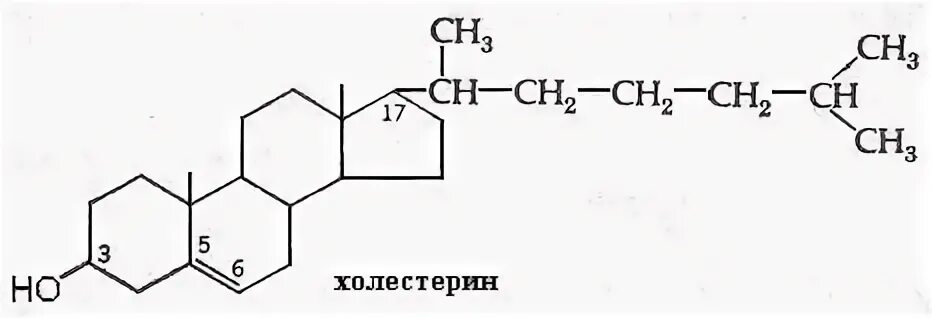 Формула холестерола. Холестерол формула. Холестерол формула биохимия. Холестерин формула биохимия.